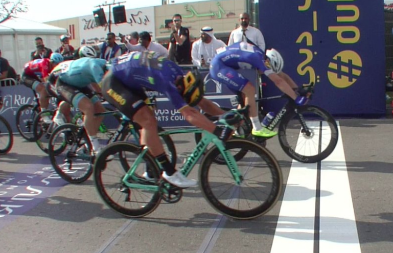 elia viviani