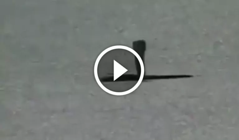 serpente test motogp