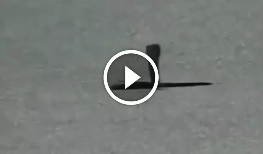 serpente test motogp