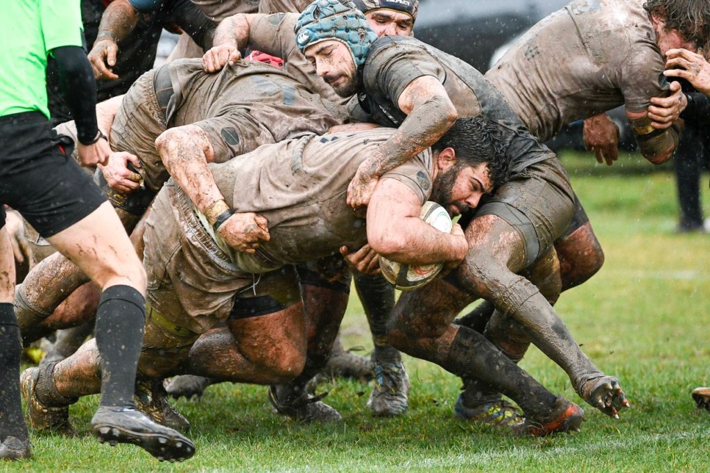 Verona Rugby
