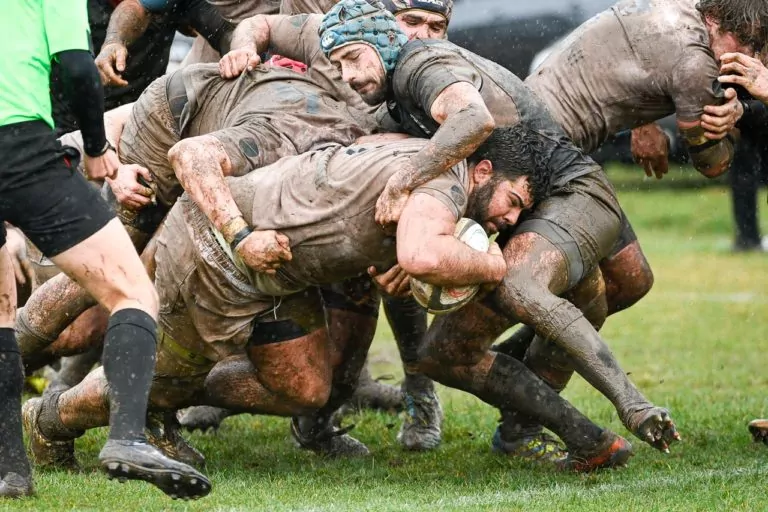 Verona Rugby