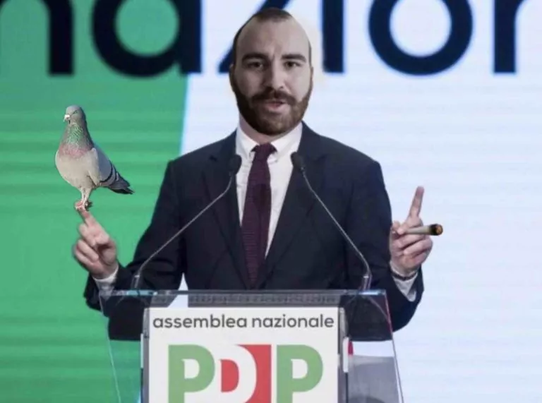 Il pancio partito del piccione