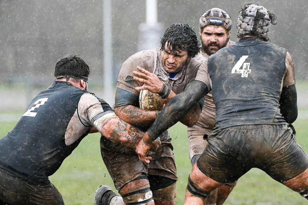 Verona Rugby