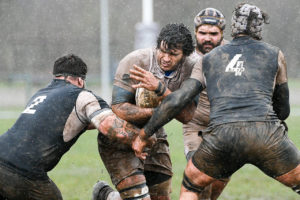 Verona Rugby