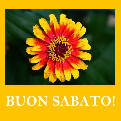 buon sabato