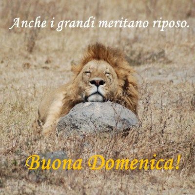 buona domenica