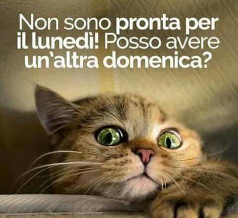 buona domenica