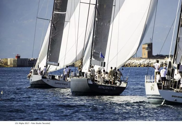 Vela 151miglia