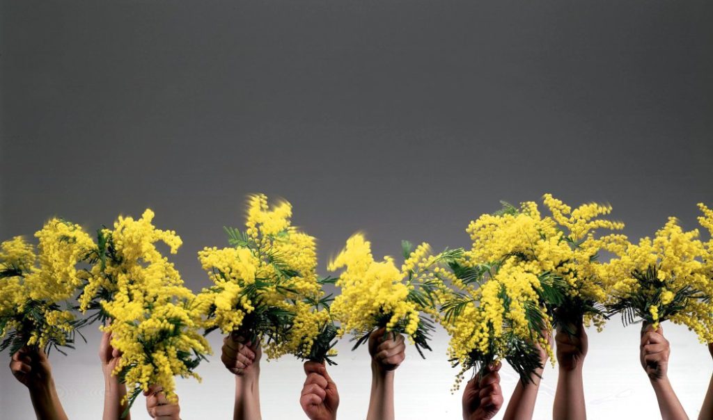 Festa della Donna