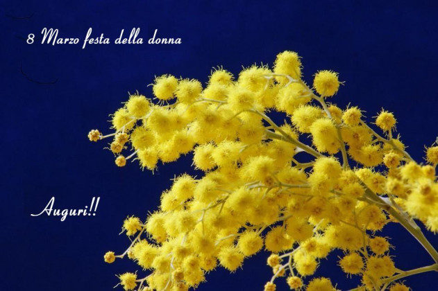 Festa della Donna