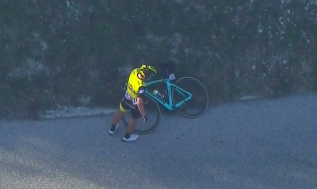 primoz roglic