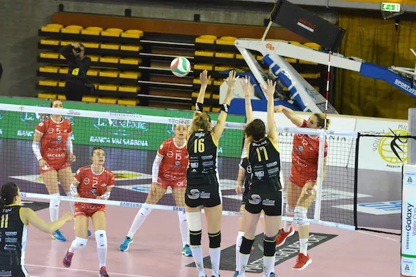 savallese volley
