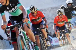 vincenzo nibali 
