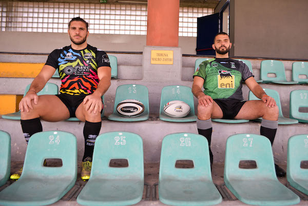 zebre rugby