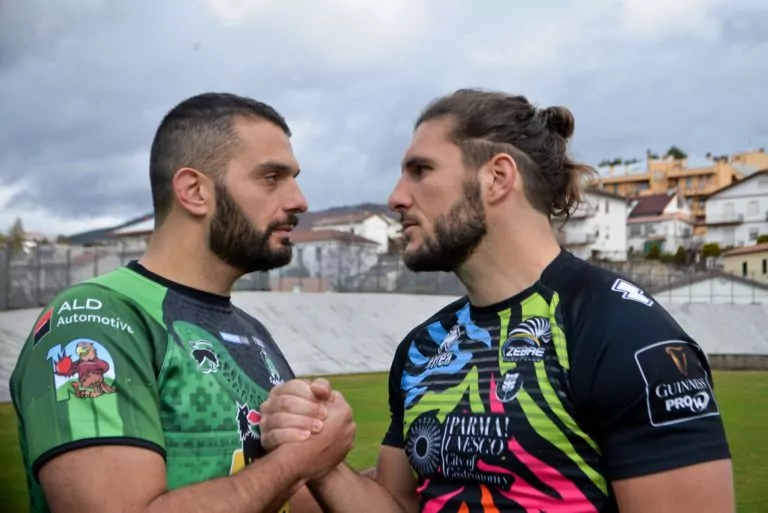 zebre rugby