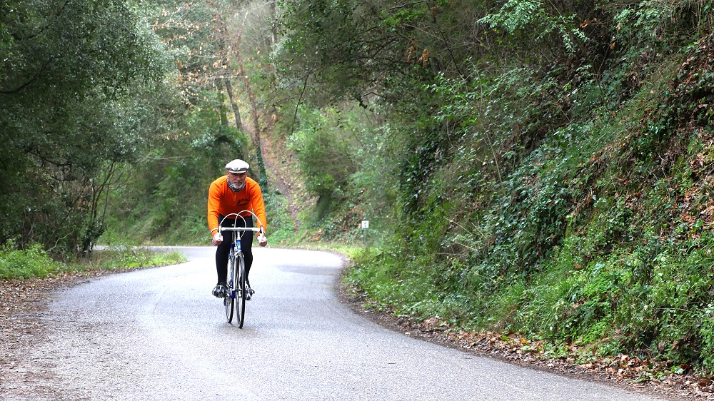 99CURVE ciclostorica