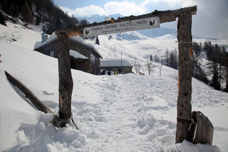 Alpe Piazza Parco delle Orobie valtellinesi