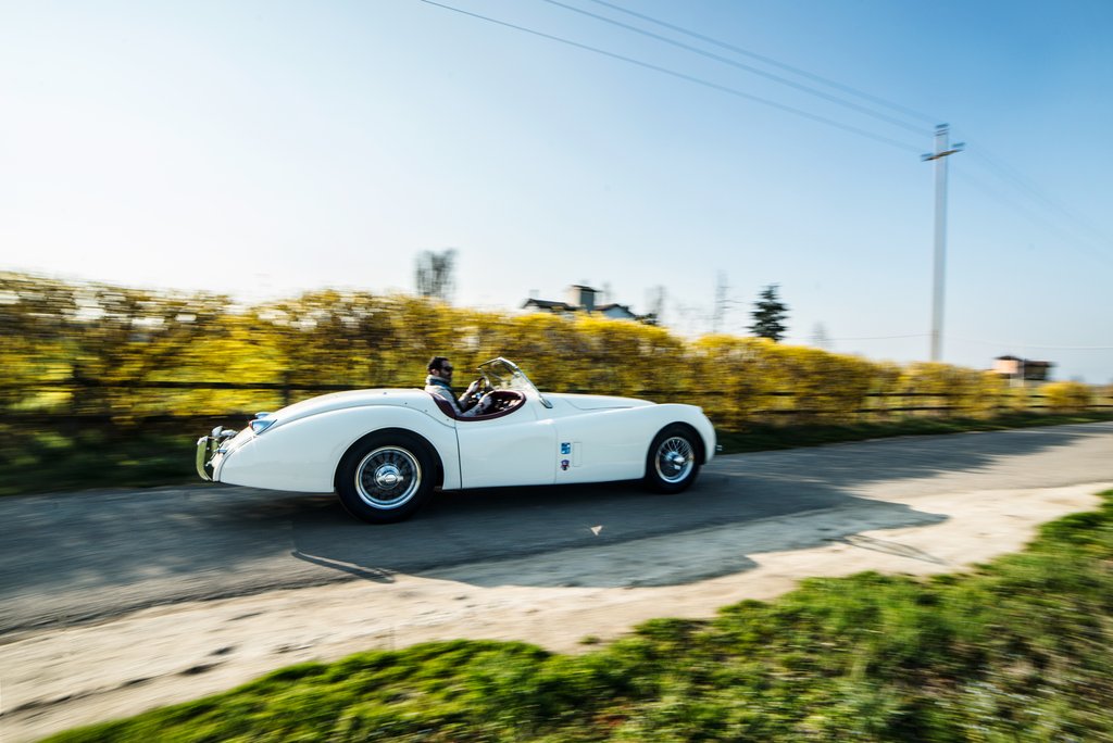 Jaguar Xk120