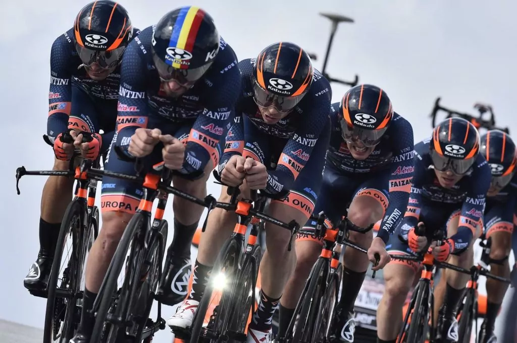 NIPPO Vini Fantini Europa Ovini