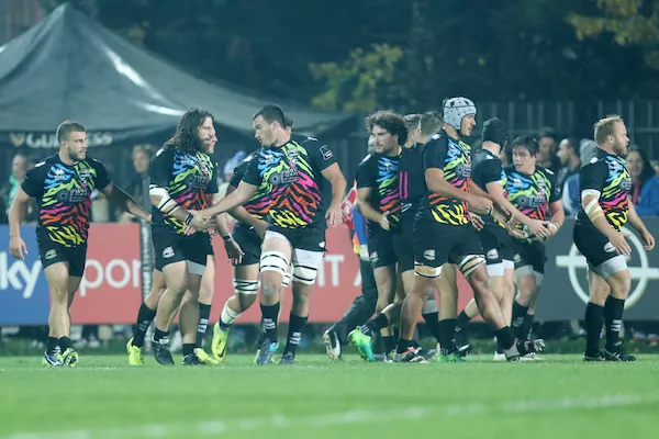 zebre rugby