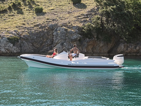 suzuki Marine