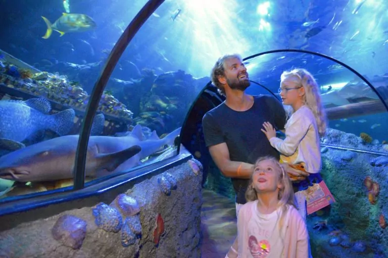 Massimiliano Rosolino a Gardaland SEA LIFE Aquarium_6961_ok