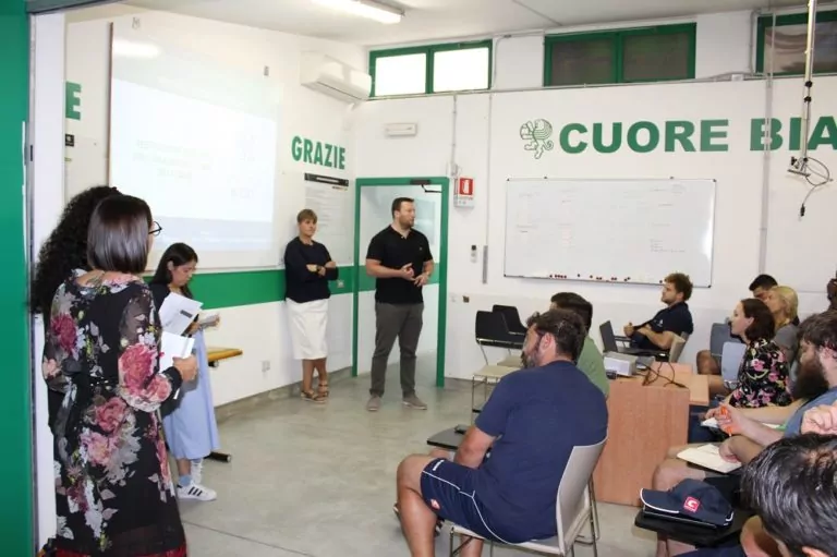 benetton rugby