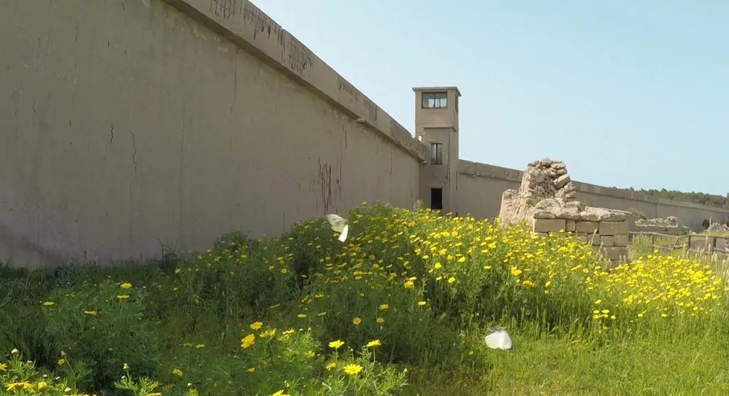 il muro ridotto