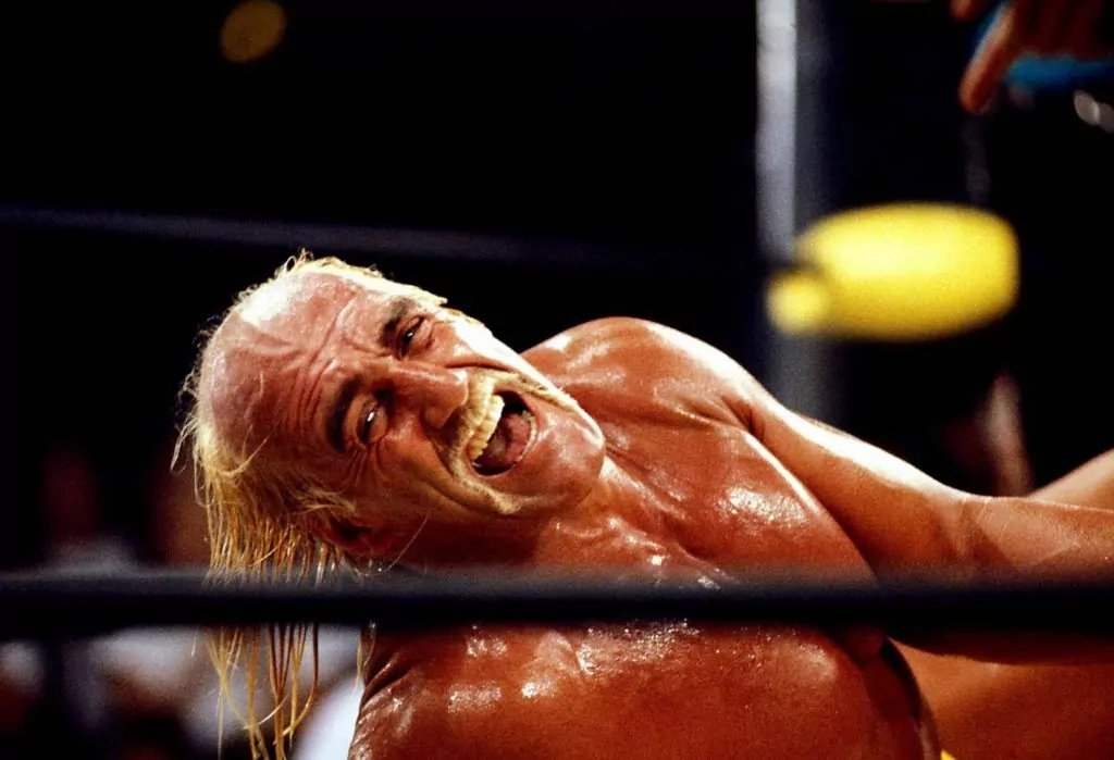 Hulk Hogan