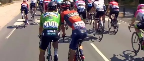 sagan nibali