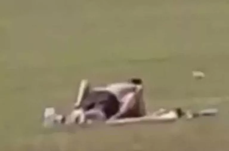 sesso campo cricket