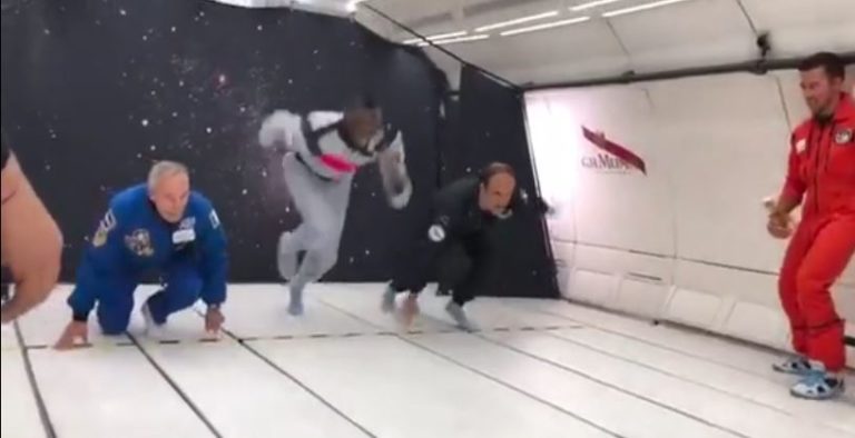 usain bolt