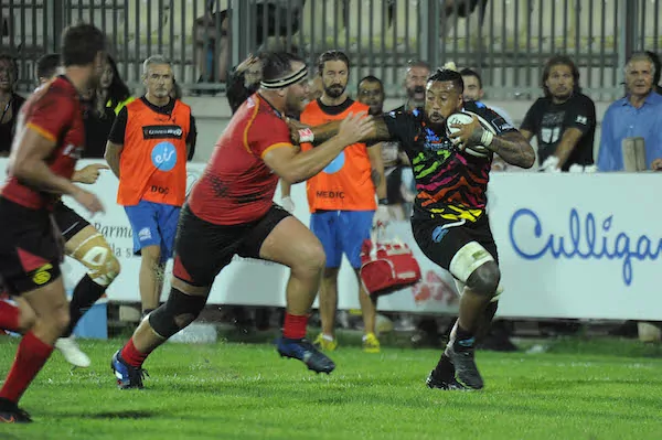 zebre rugby