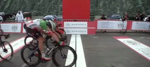 elia viviani