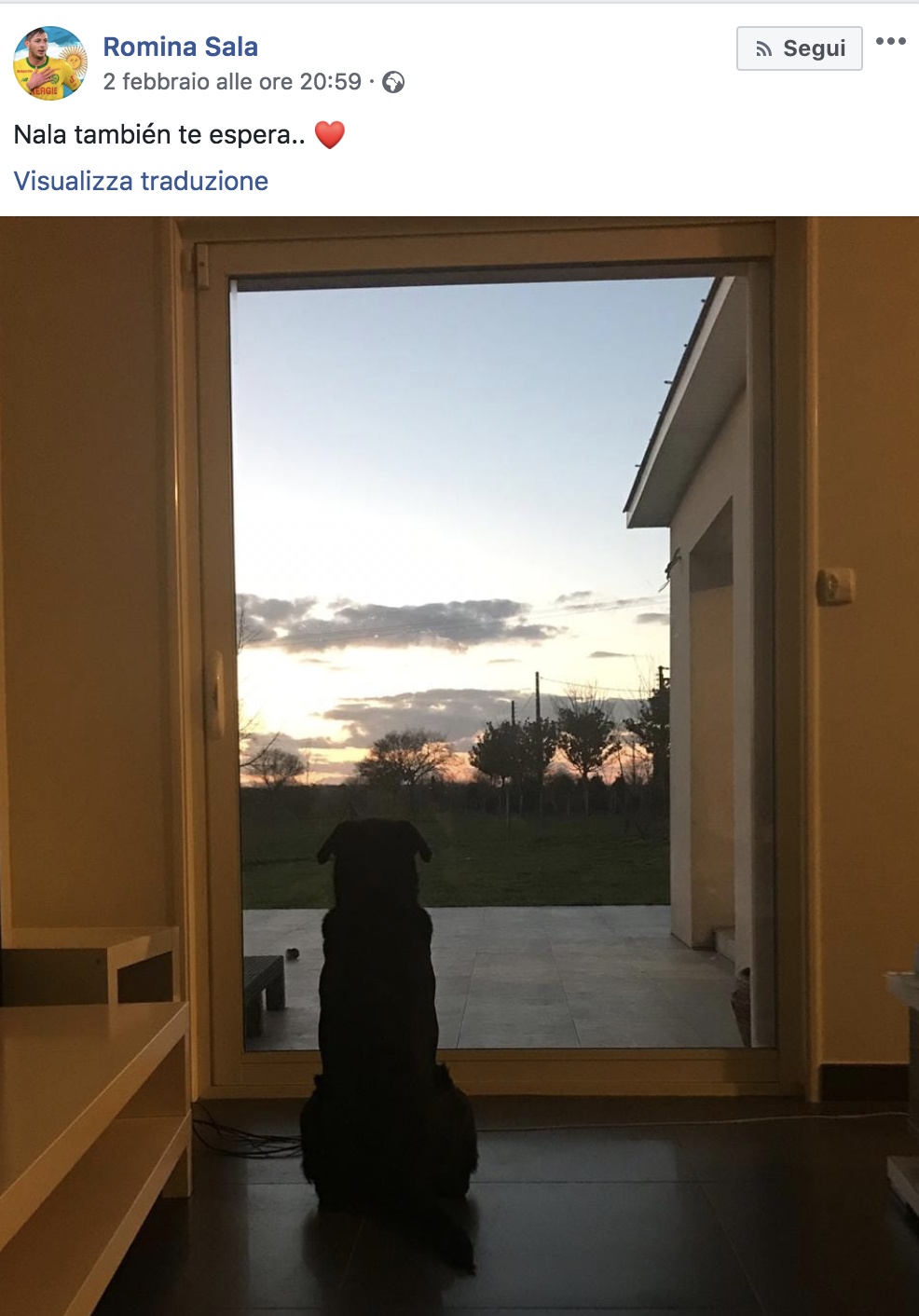 emiliano sala cane