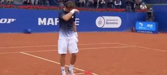 david ferrer