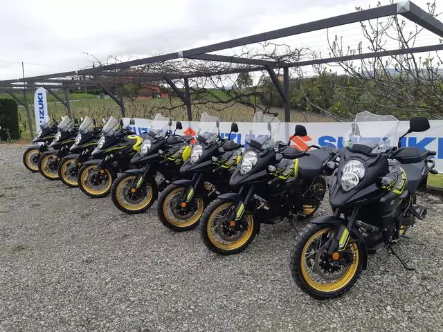 suzuki v-strom