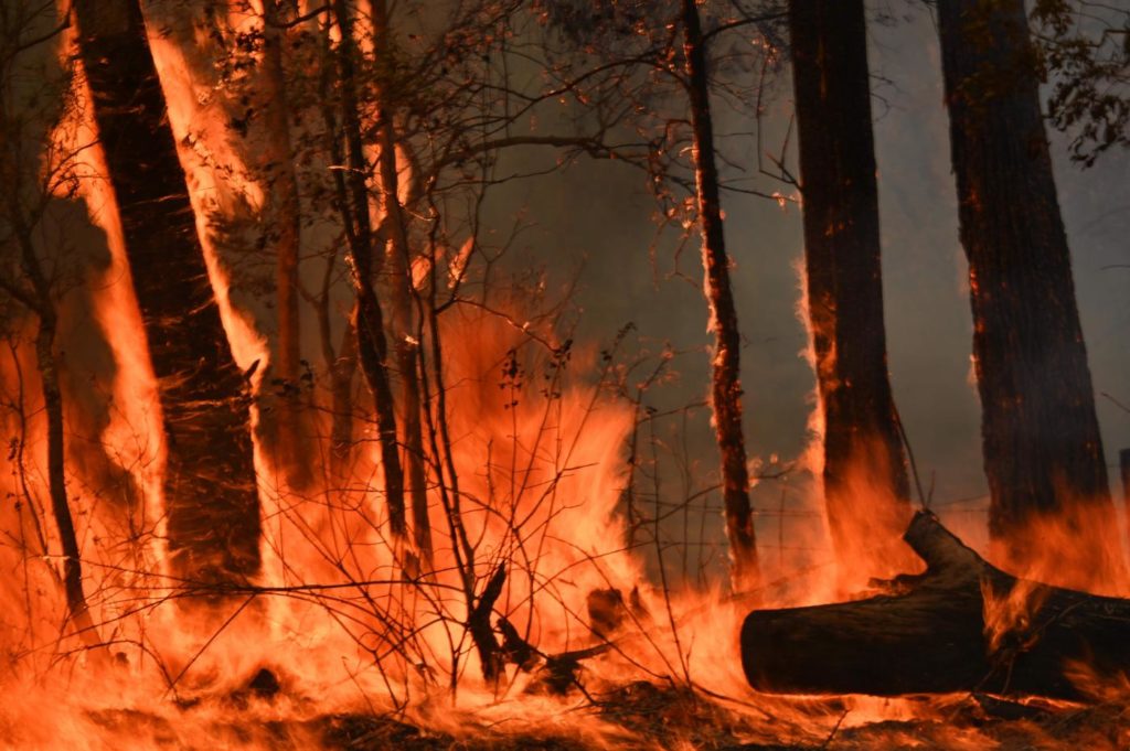 incendi australia