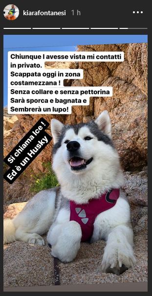 kiara fontanesi