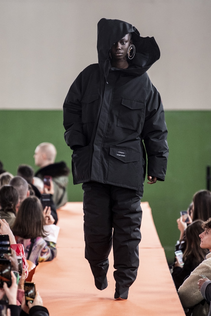canada goose
