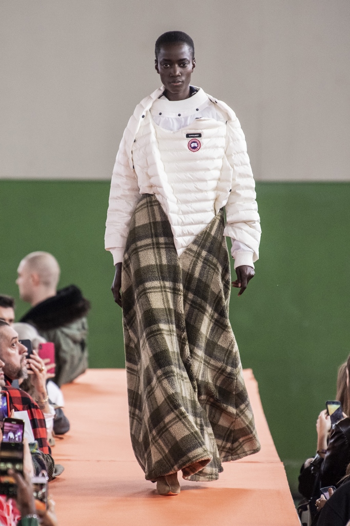 canada goose