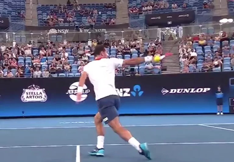 dodig