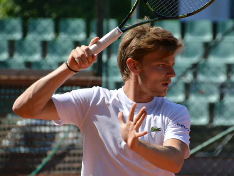 David Goffin