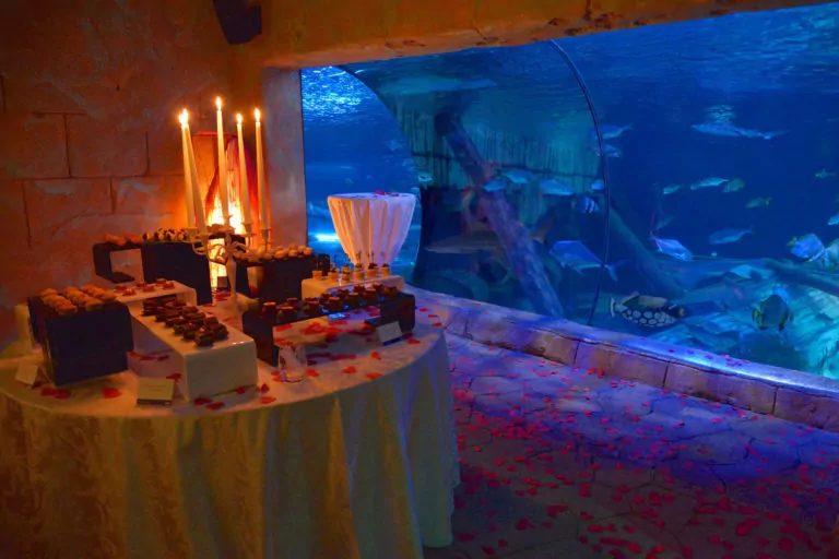San Valentino Gardaland SEA LIFE Aquarium