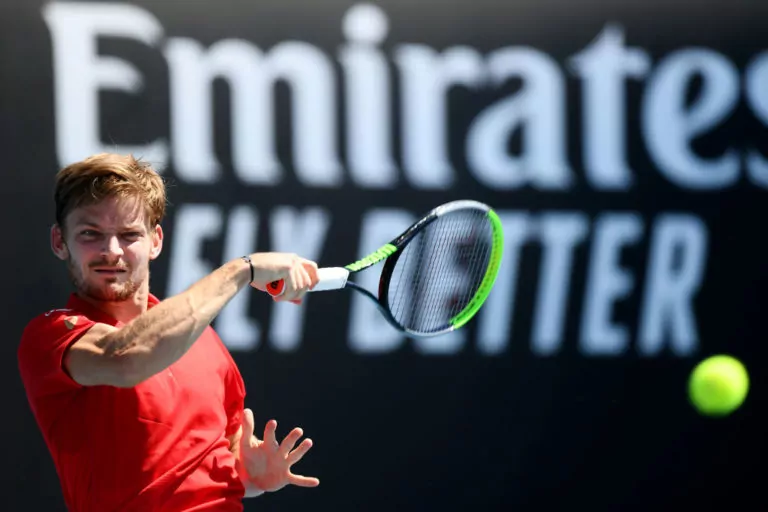 Goffin