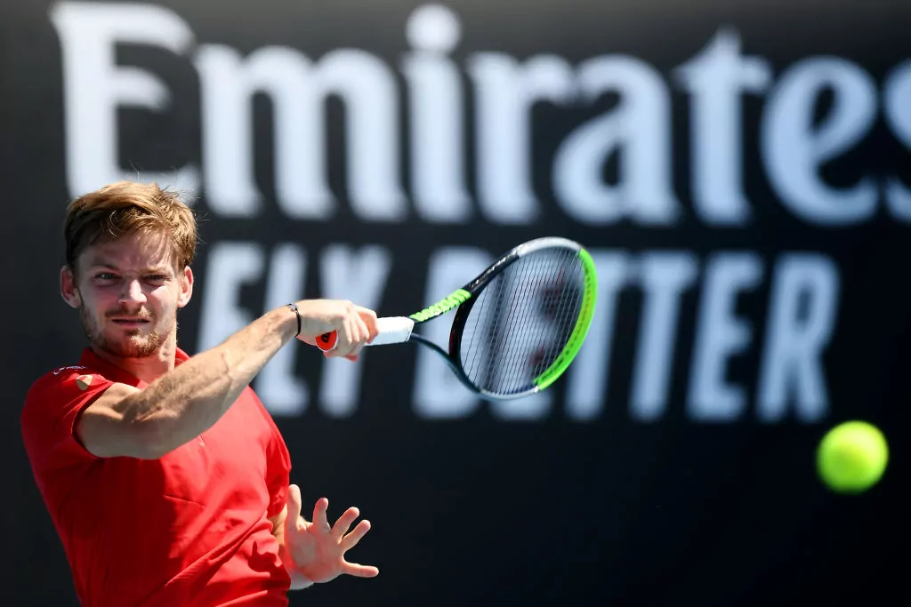 Goffin