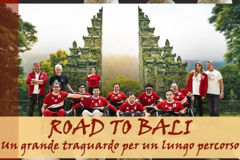 rugby carrozzina