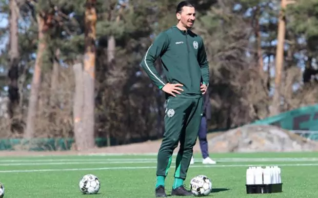 Zlatan Ibrahimovic Hammarby