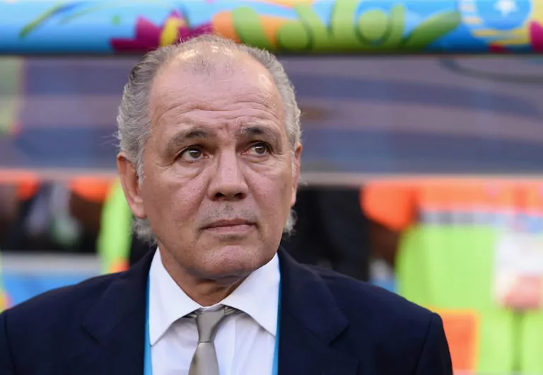 Sabella