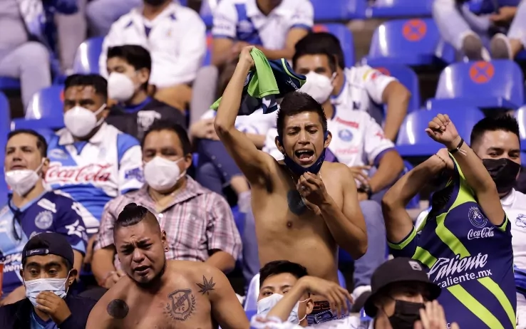 Tifosi Pumas